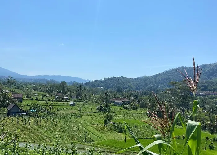 Beji Ayu 4*