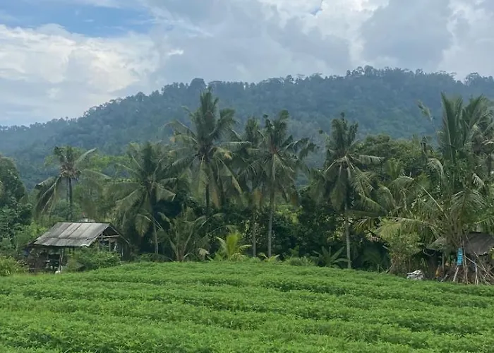 Maison d'hôtes Beji Ayu 4*