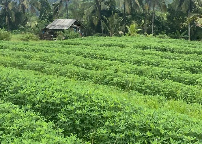 Beji Ayu Sidemen (Bali)
