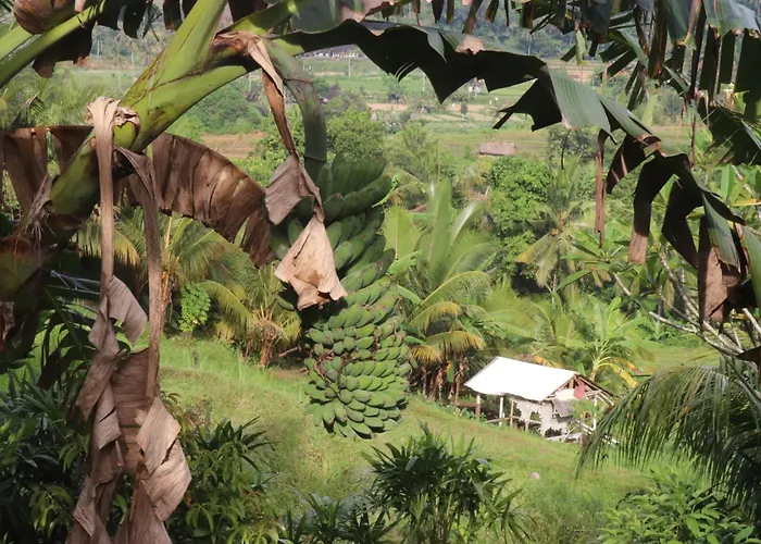 Beji Ayu Maison d'hôtes 4*