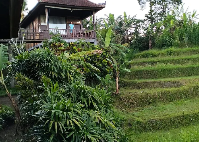 Maison d'hôtes Beji Ayu 4*