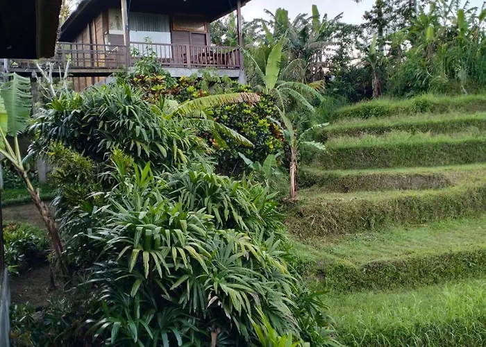 Beji Ayu Maison d'hôtes 4*